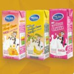 Ультрапастеризованные сливки с натуральным вкусом и с добавками мёда, банана и финика для домашнего и профессионального использования.